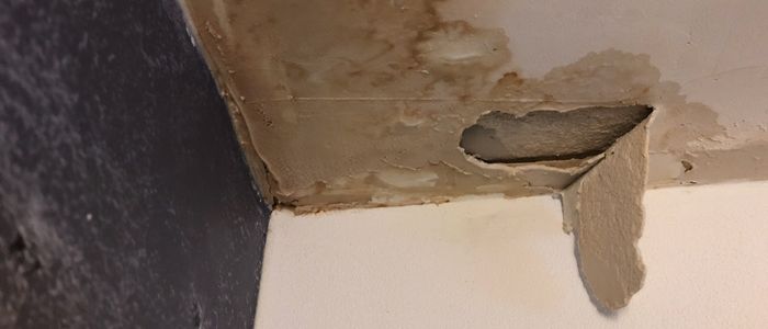 Roof Leaking Right Now